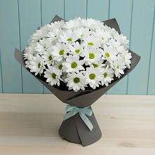 Букет цветов из:  Хризантемы #REPLACE_PRED# Кондрово