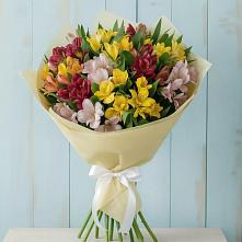 Букет цветов из:  Альстромерии в Кондрово